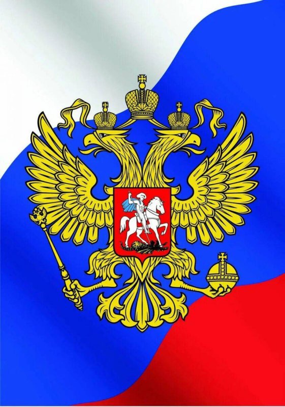 Российский флаг обои на телефон вертикальные (86 фото)