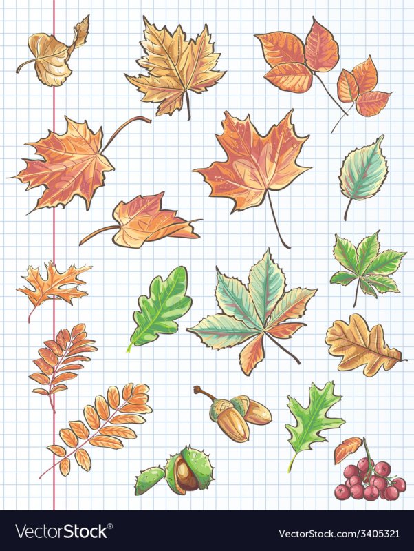 Тетрадный лист с осенними листьями