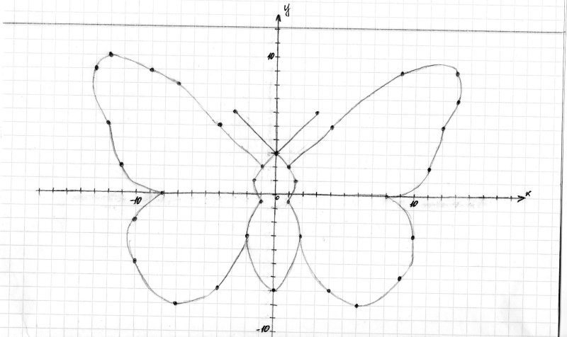 Бабочка по координатам