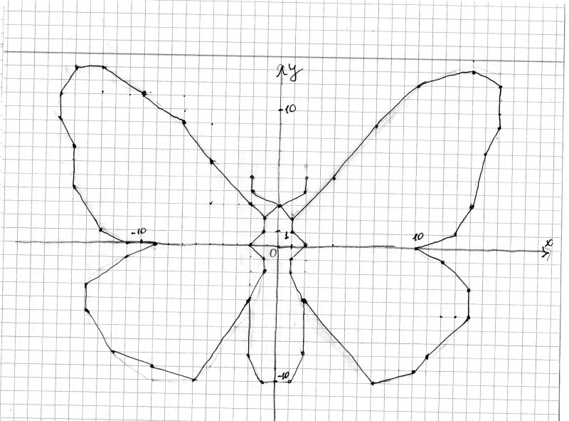 Осевая симметрия бабочка