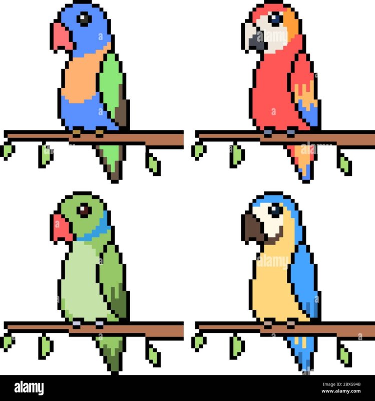 Попугай в пикселях