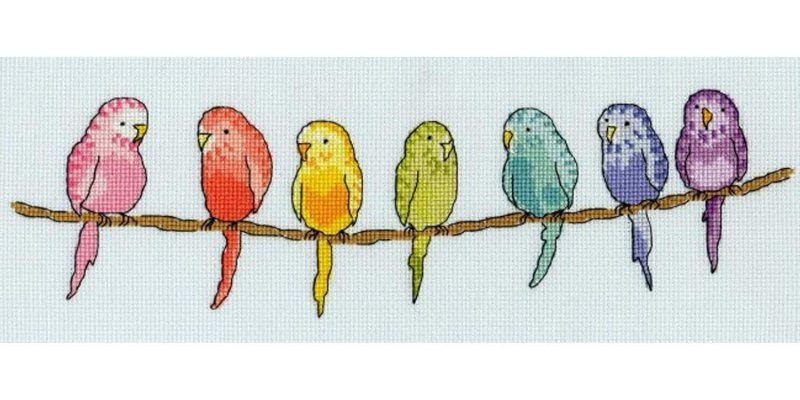 Волнистые попугаи вышивка набор