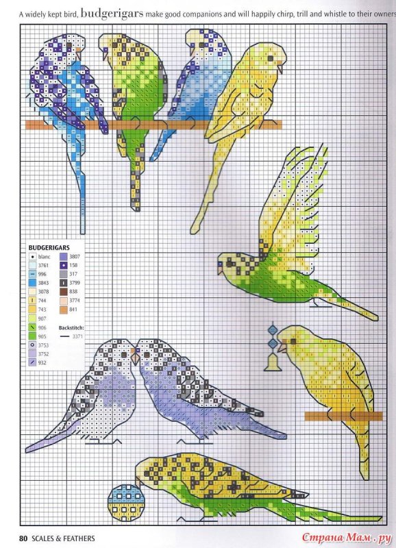 Вышивка крестом схема волнистые попугайчики