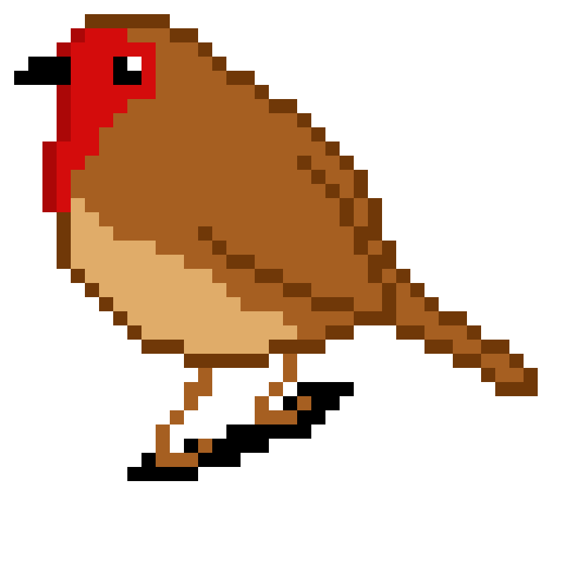 Пиксельные птицы