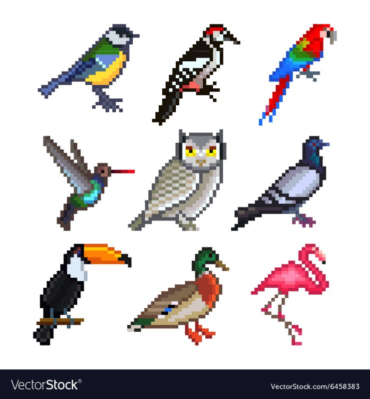 Пиксельные птицы