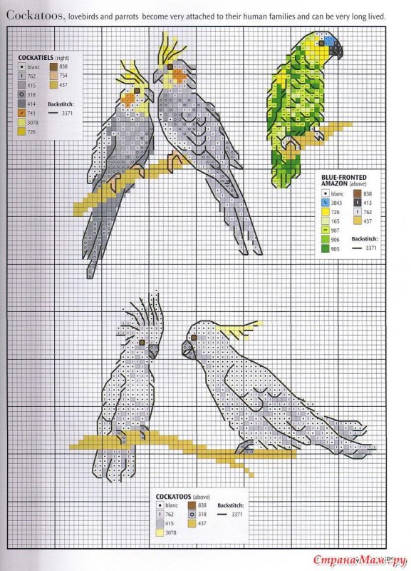 Вышивка крестиком попугаи схема