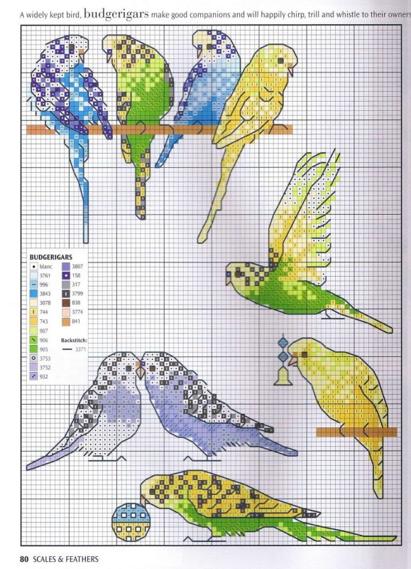Схема вышивки волнистые попугайчики