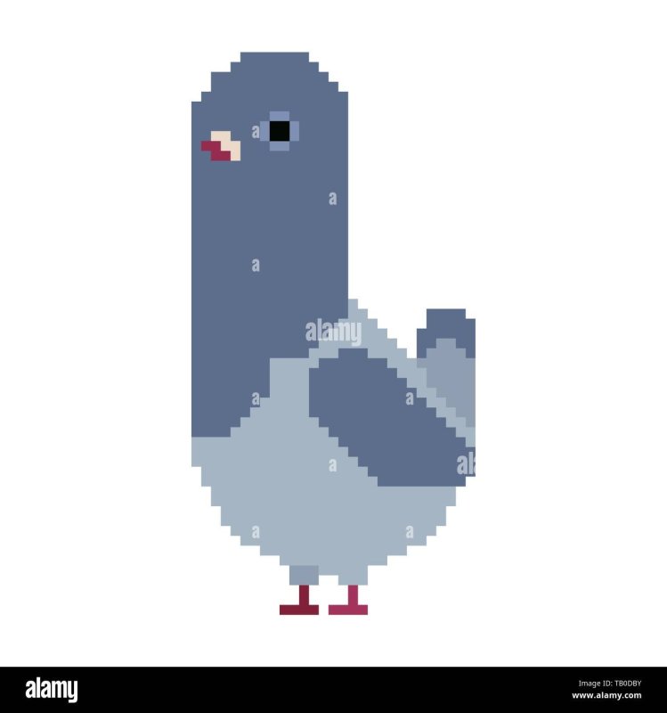 Птицы пиксель арт голубь