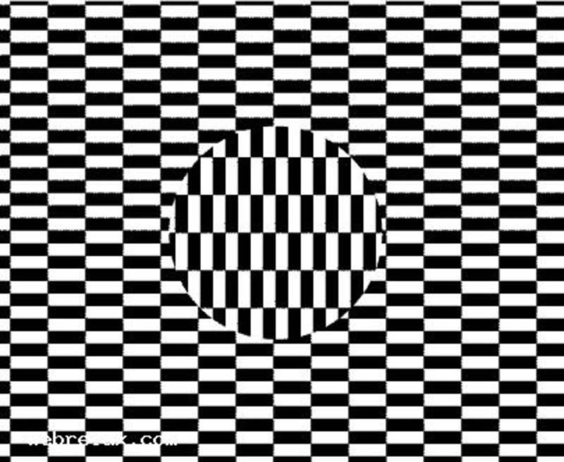 Иллюзия черно белая
