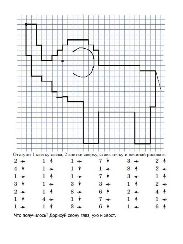 Графический диктант для дошкольников 6-7 лет по клеточкам слон