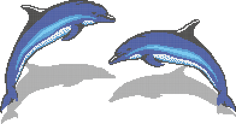 Дельфин сбоку