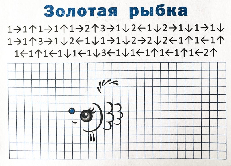 Графический диктант рыба для дошкольников
