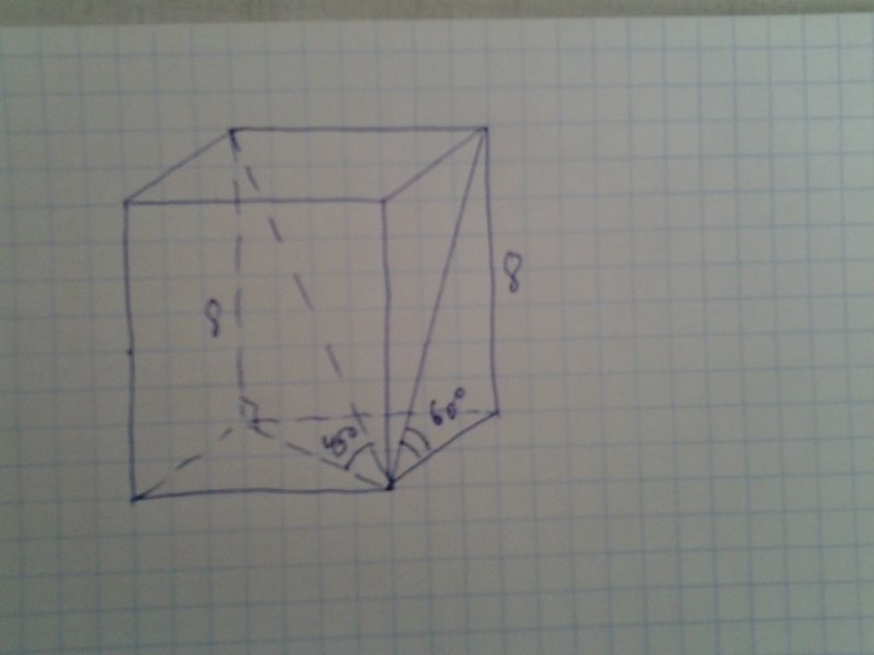 Диагональ прямоугольника параллелепипеда составляет угол 45