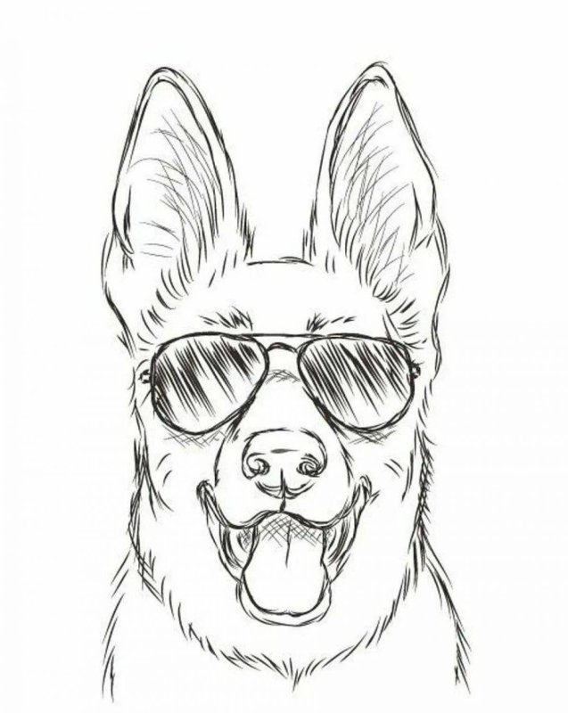 Рисунки собак для срисовки лёгкие