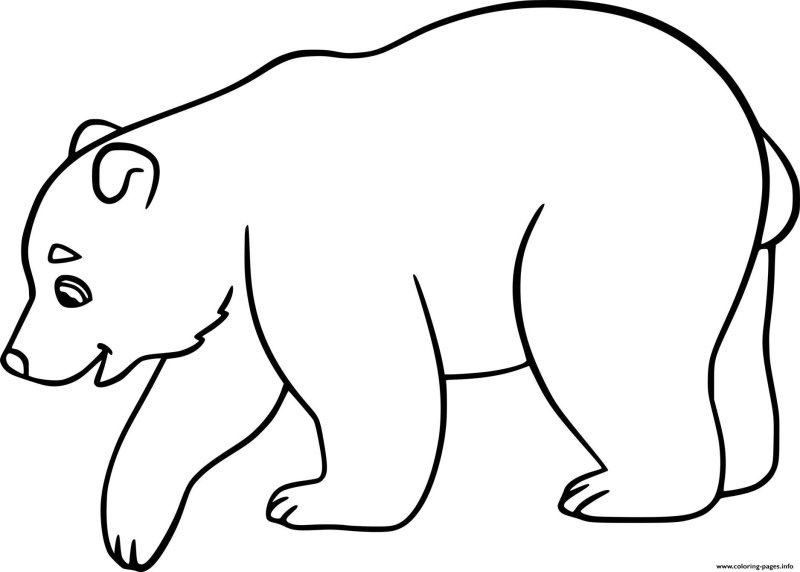 Белый медведь контурный рисунок (63 фото)