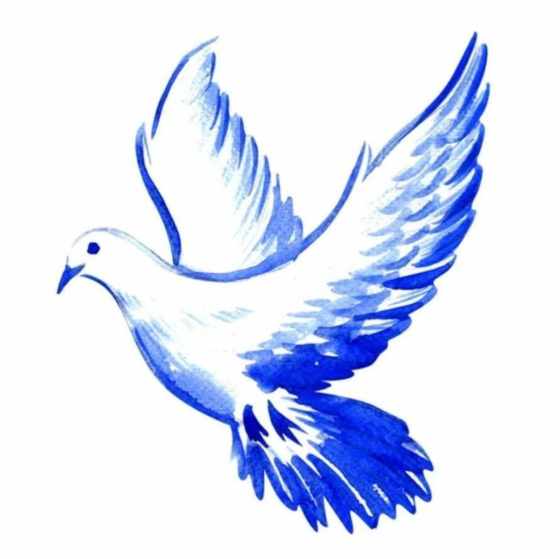 Голубь птица мира