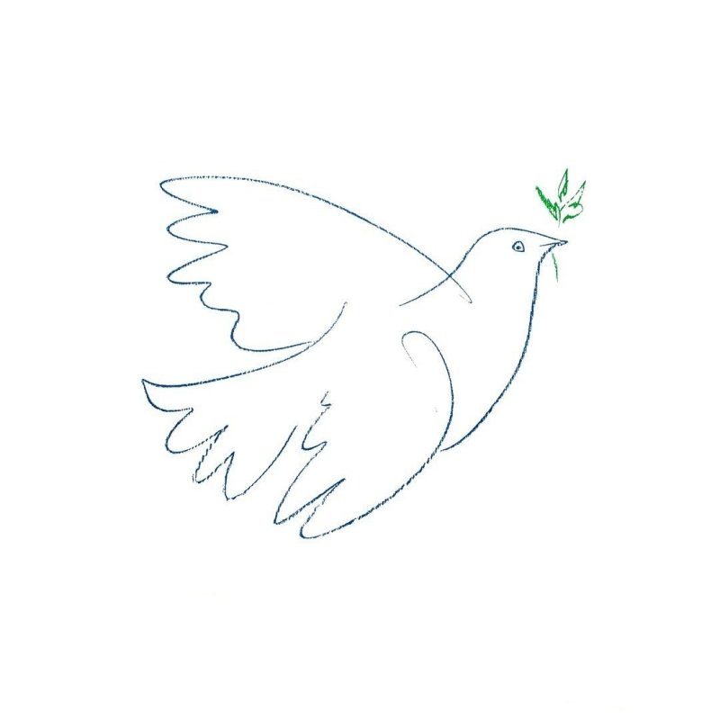 Символ мира голубь Пабло Пикассо