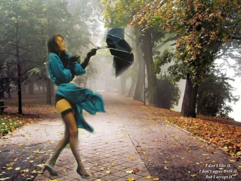 Девушка зонт ветер